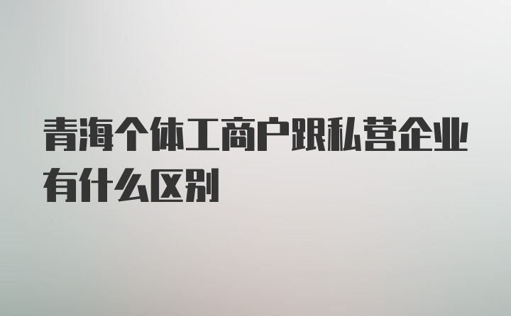 青海个体工商户跟私营企业有什么区别