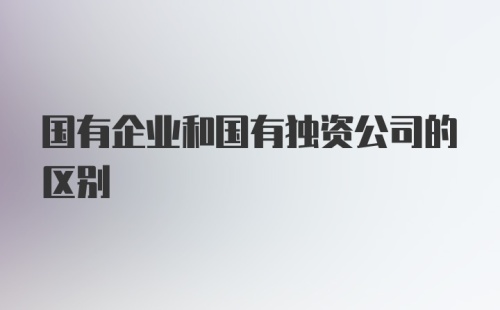 国有企业和国有独资公司的区别