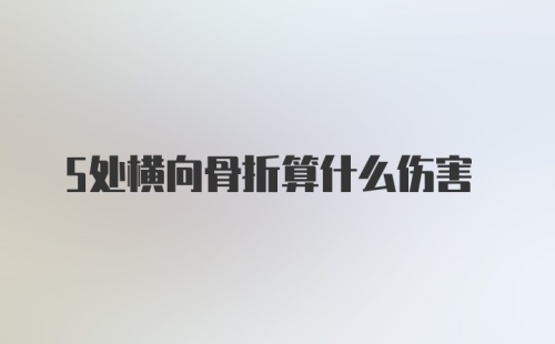 5处横向骨折算什么伤害