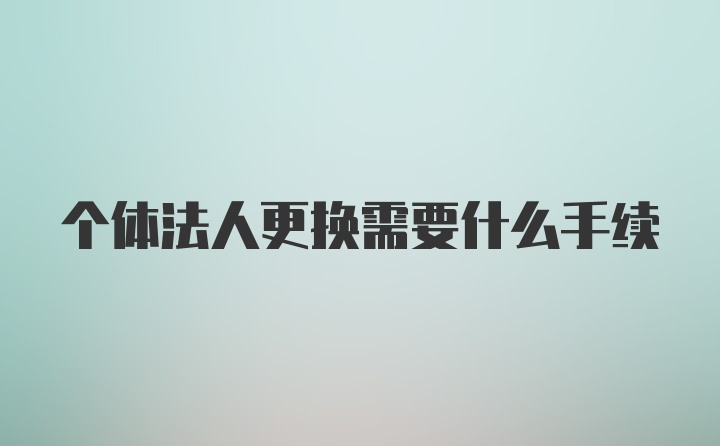 个体法人更换需要什么手续