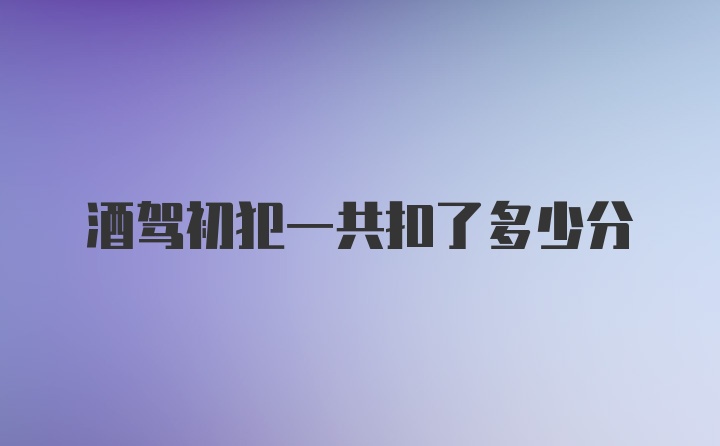 酒驾初犯一共扣了多少分