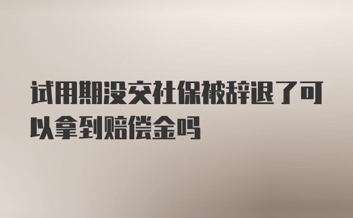 试用期没交社保被辞退了可以拿到赔偿金吗