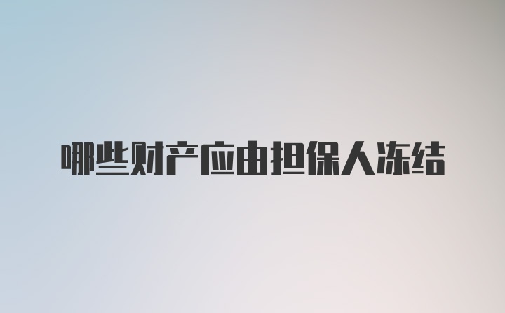 哪些财产应由担保人冻结