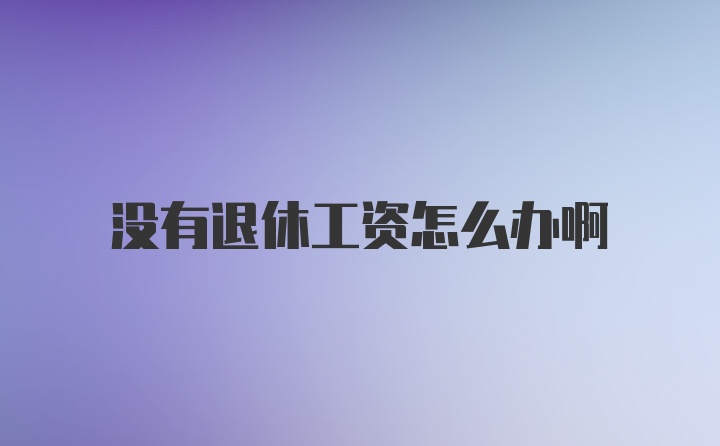 没有退休工资怎么办啊