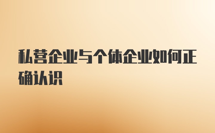 私营企业与个体企业如何正确认识