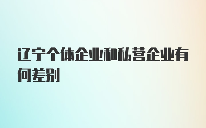 辽宁个体企业和私营企业有何差别