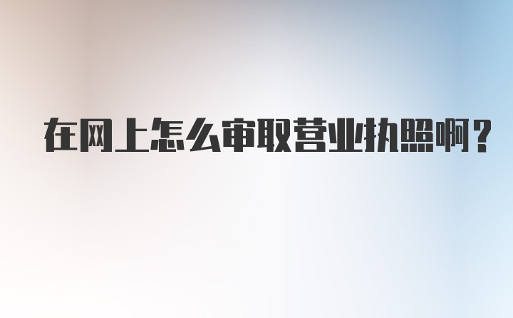 在网上怎么审取营业执照啊?