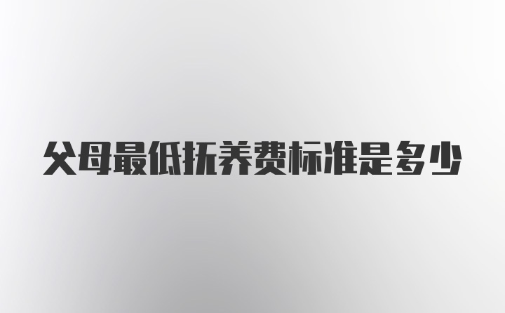 父母最低抚养费标准是多少