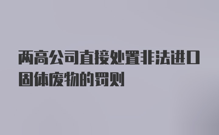 两高公司直接处置非法进口固体废物的罚则