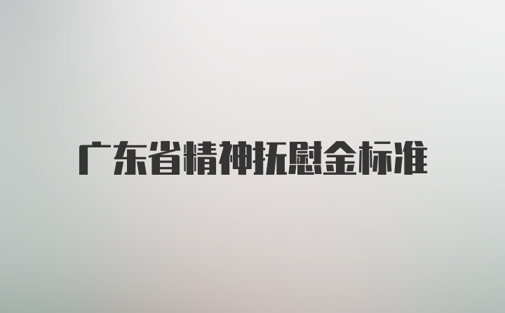 广东省精神抚慰金标准