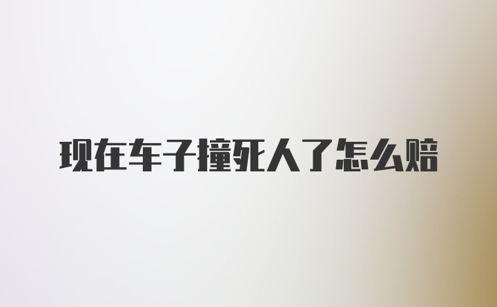 现在车子撞死人了怎么赔