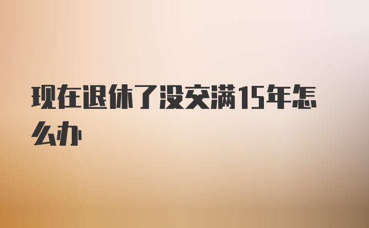 现在退休了没交满15年怎么办