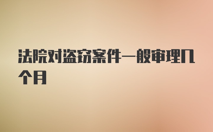 法院对盗窃案件一般审理几个月