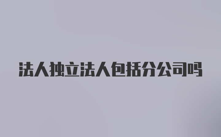 法人独立法人包括分公司吗