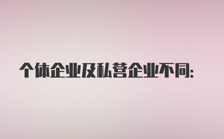 个体企业及私营企业不同: