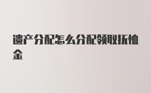 遗产分配怎么分配领取抚恤金