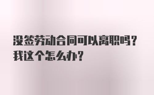 没签劳动合同可以离职吗？我这个怎么办？