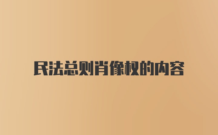 民法总则肖像权的内容