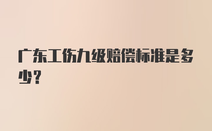 广东工伤九级赔偿标准是多少？