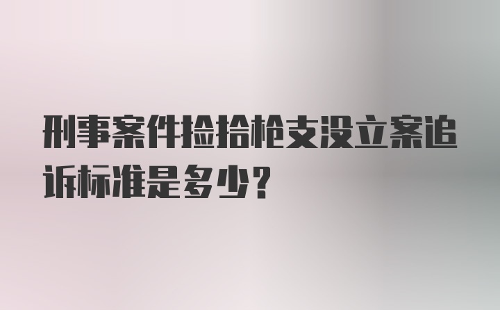 刑事案件捡拾枪支没立案追诉标准是多少？