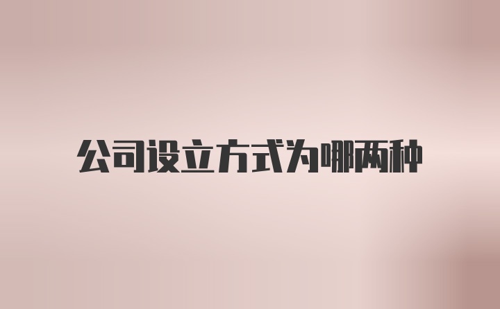 公司设立方式为哪两种