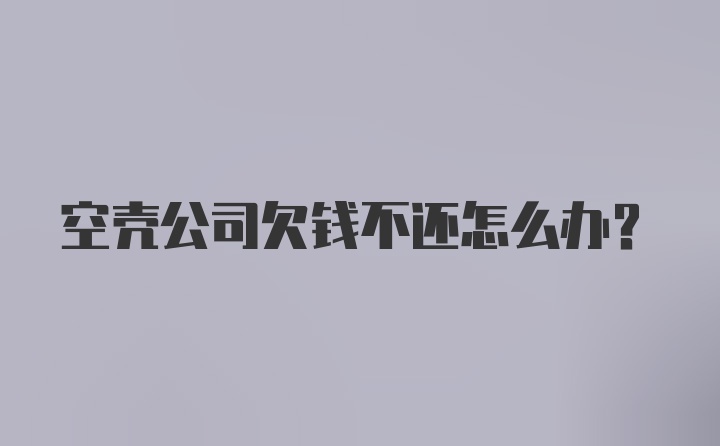 空壳公司欠钱不还怎么办？