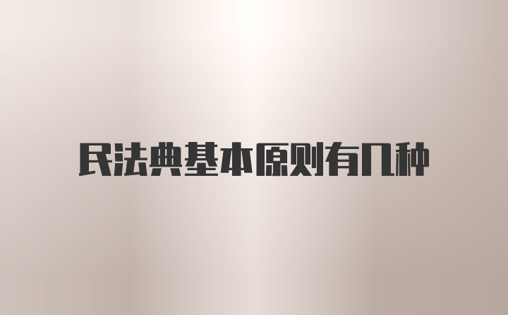 民法典基本原则有几种