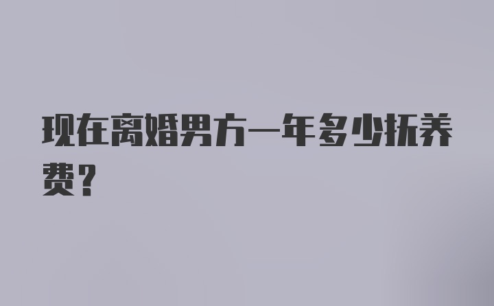 现在离婚男方一年多少抚养费?