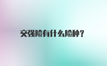 交强险有什么险种？