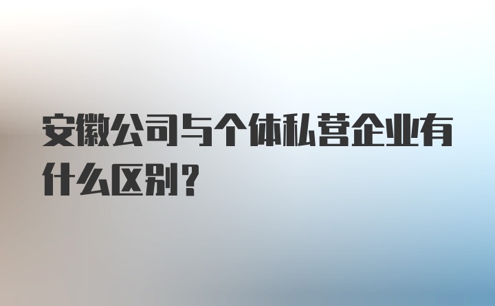 安徽公司与个体私营企业有什么区别?