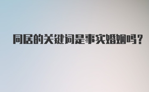 同居的关键词是事实婚姻吗？