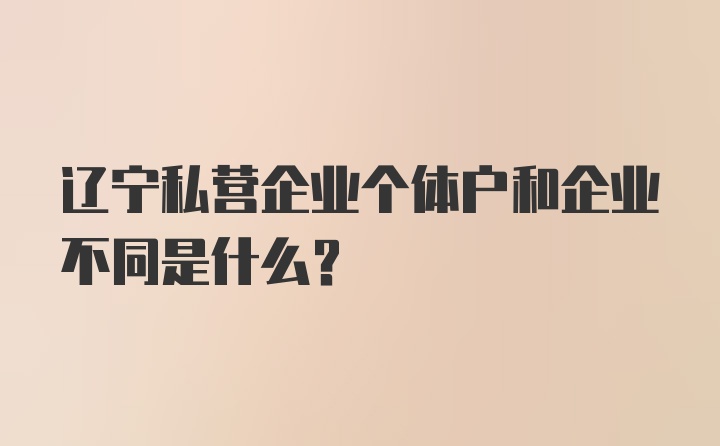 辽宁私营企业个体户和企业不同是什么？