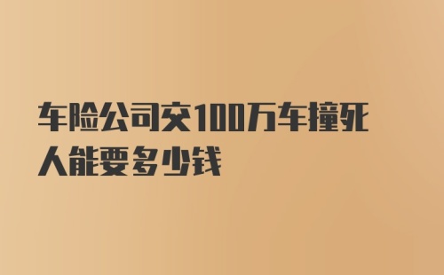 车险公司交100万车撞死人能要多少钱