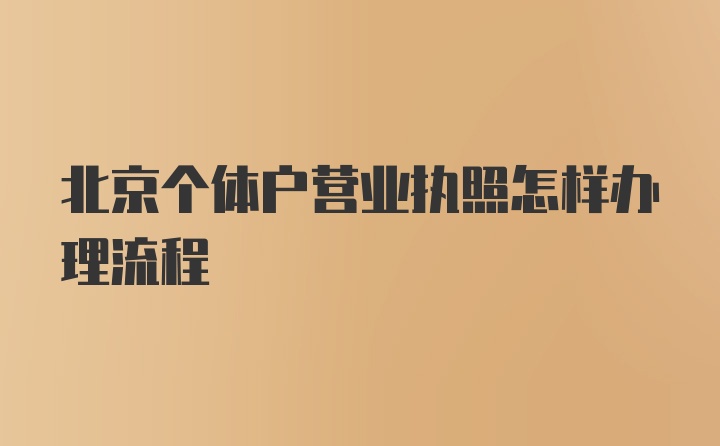 北京个体户营业执照怎样办理流程