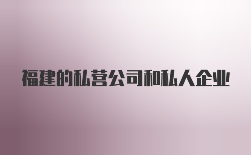 福建的私营公司和私人企业