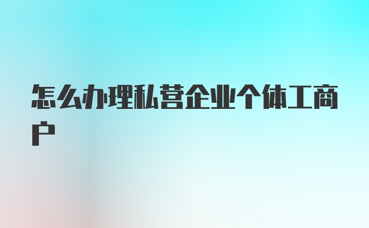 怎么办理私营企业个体工商户