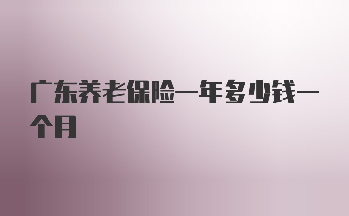 广东养老保险一年多少钱一个月