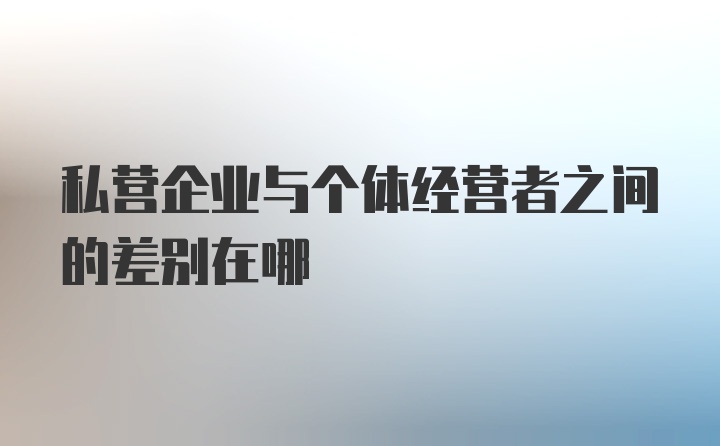 私营企业与个体经营者之间的差别在哪