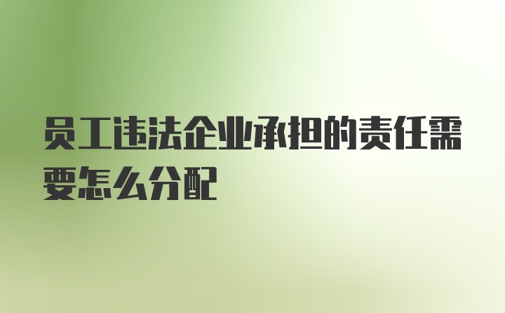 员工违法企业承担的责任需要怎么分配