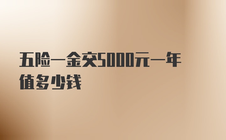 五险一金交5000元一年值多少钱