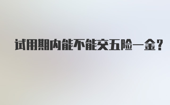 试用期内能不能交五险一金？