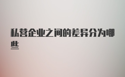 私营企业之间的差异分为哪些