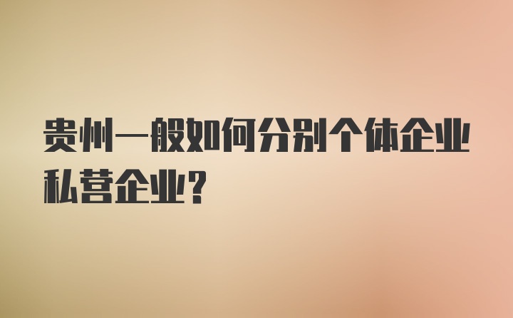 贵州一般如何分别个体企业私营企业？