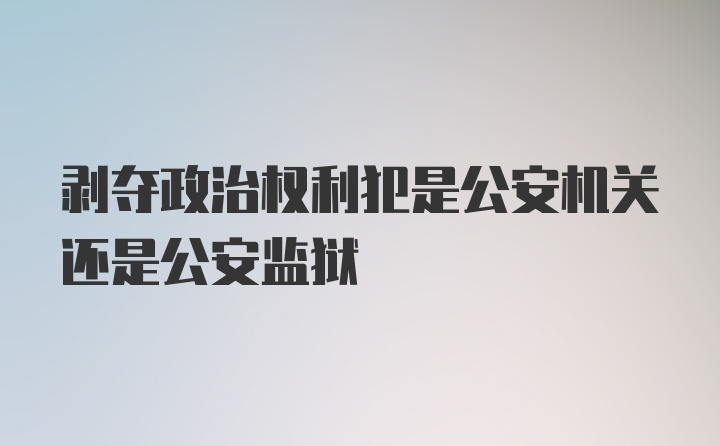 剥夺政治权利犯是公安机关还是公安监狱