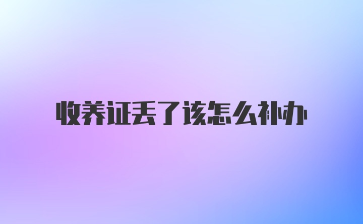 收养证丢了该怎么补办