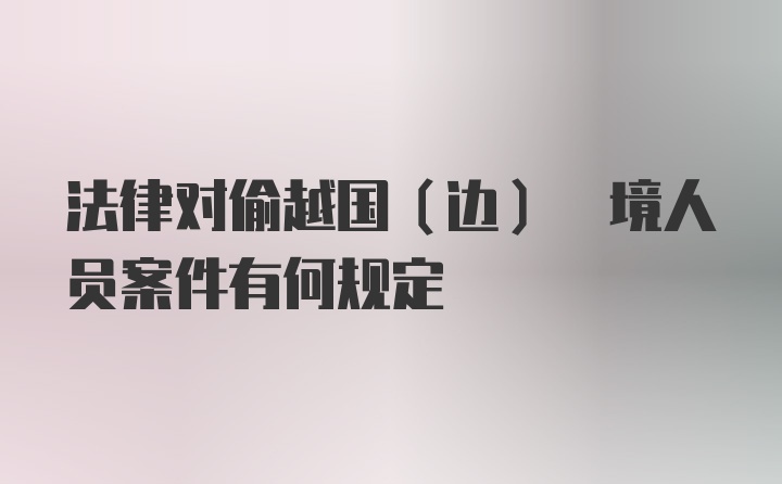 法律对偷越国(边) 境人员案件有何规定