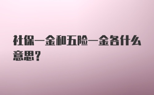 社保一金和五险一金各什么意思？