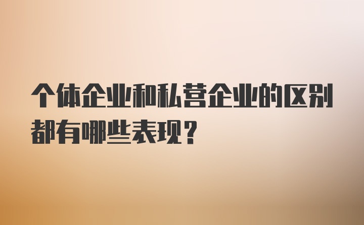 个体企业和私营企业的区别都有哪些表现？