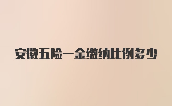 安徽五险一金缴纳比例多少