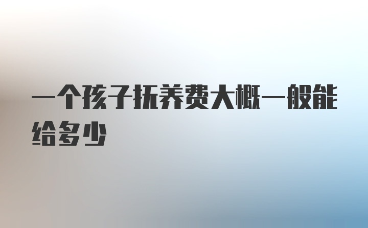 一个孩子抚养费大概一般能给多少